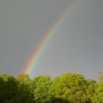 rainbow-339895_640